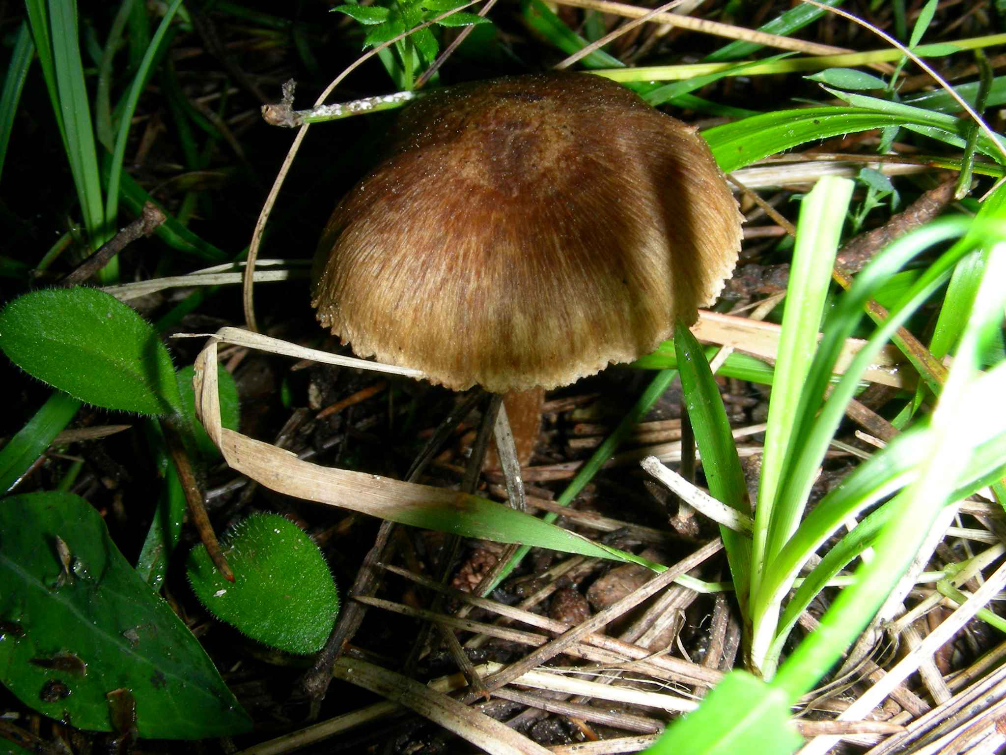 1632 Aprile vecchio ritrovamento